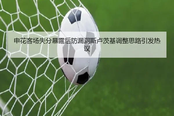 申花客场失分暴露后防漏洞斯卢茨基调整思路引发热议